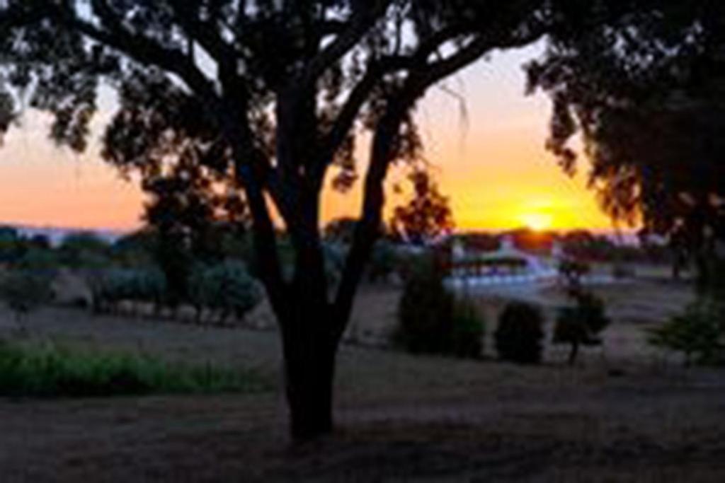 Quinta Da Espada Evora Bagian luar foto
