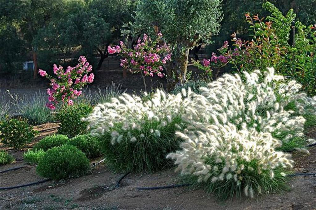 Quinta Da Espada Evora Bagian luar foto
